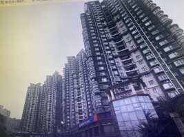 西城龙庭