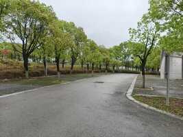 脚鱼湾对面停车场