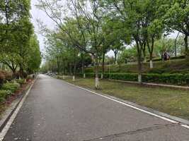 观湘门西侧停车场
