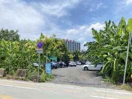 泰安通租车停车场