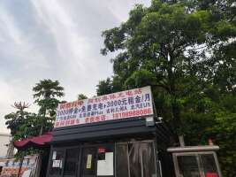 小桔充电石湖充电站停车场