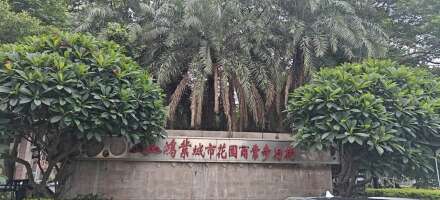 鸿业城市花园东面露天停车场