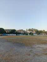 新塘镇岗丰村