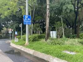 王借岗森林公园(一期)停车场