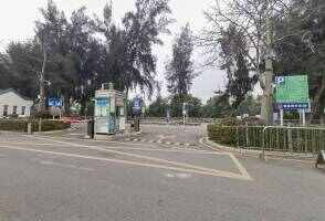 西湾红树林公园地面停车场