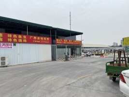罗格村门口停车场