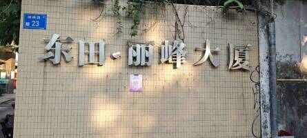 东田丽峰停车场