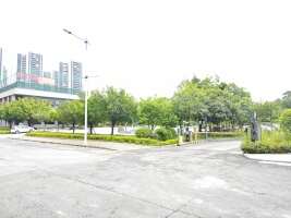 港口体育馆停车场