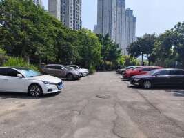 阳光凡尔赛宫路面停车场