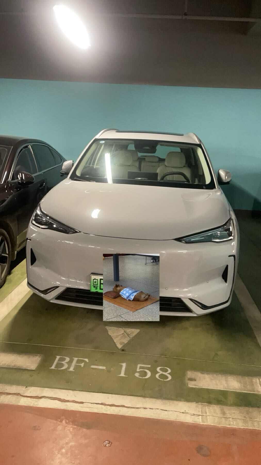评价图片
