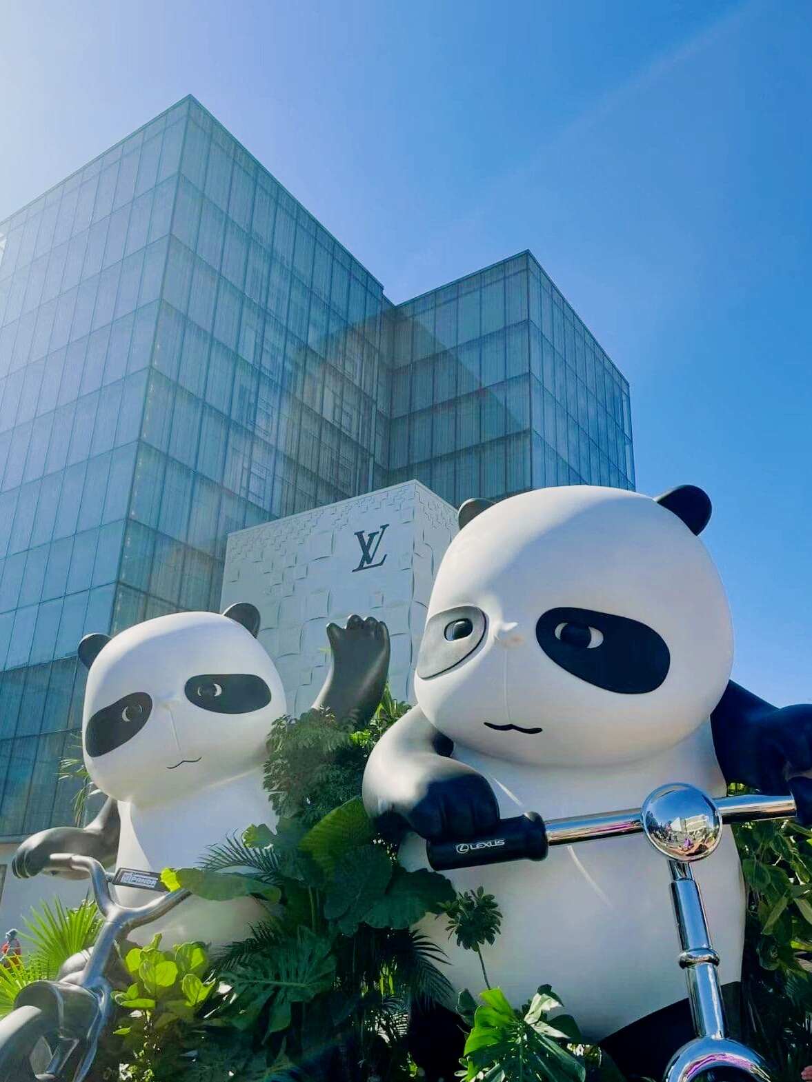 评价图片