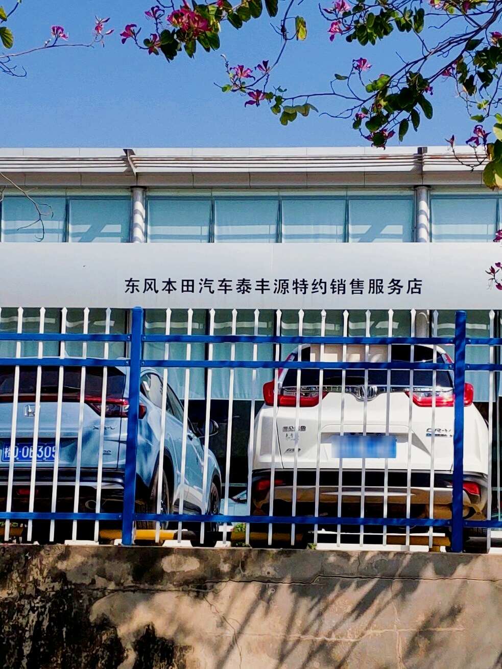 评价图片