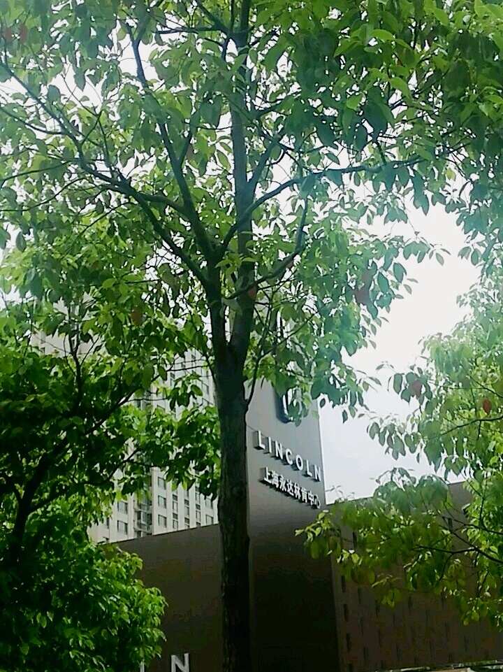 评价图片