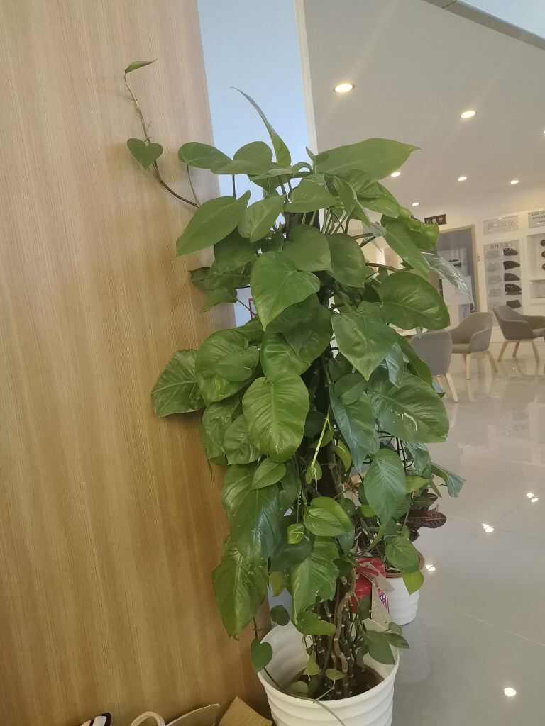 评价图片