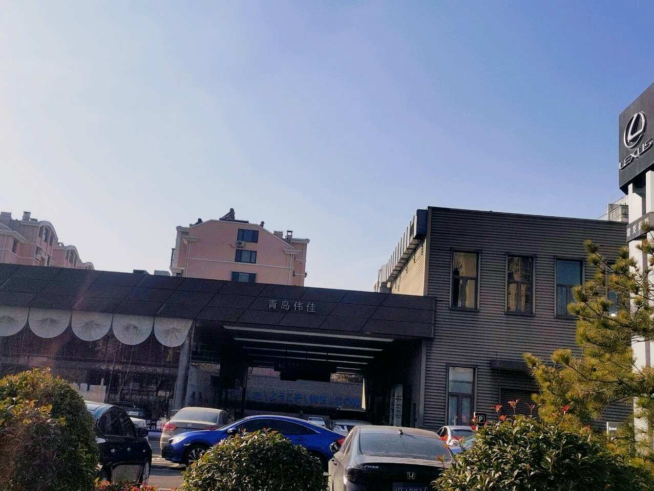 评价图片