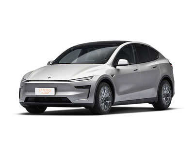 Model Y L