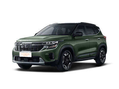 赛图斯